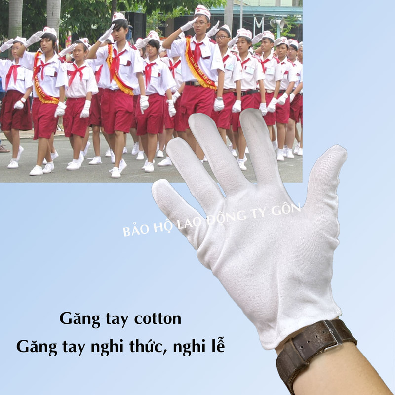 Công Ty TNHH An Toàn Lao Động Ty Gôn